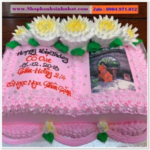 Bánh Sinh Nhật Cuốn Sách - RT14